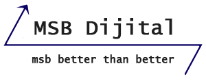 MSB DIGITAL MARKETING